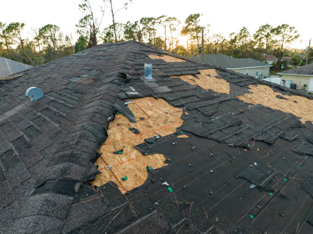 Professional Roofing in Mckeesport, PA